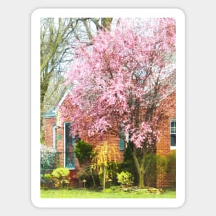 Spring - Cherry Tree by Brick House Sticker